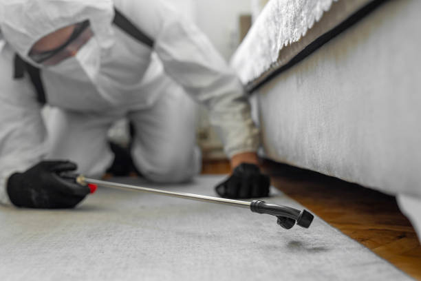 Professional Emergency Pest Control technician working in South Lake Tahoe, CA