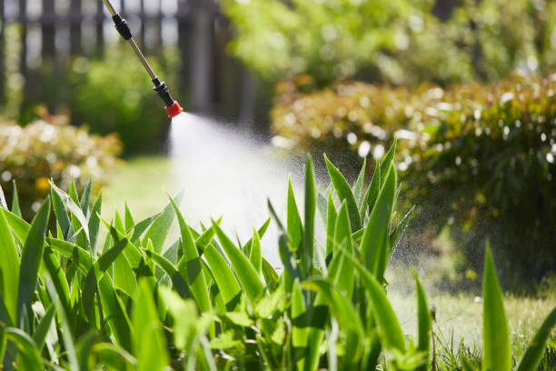 24/7 Emergency Emergency Pest Control experts in South Lake Tahoe, CA