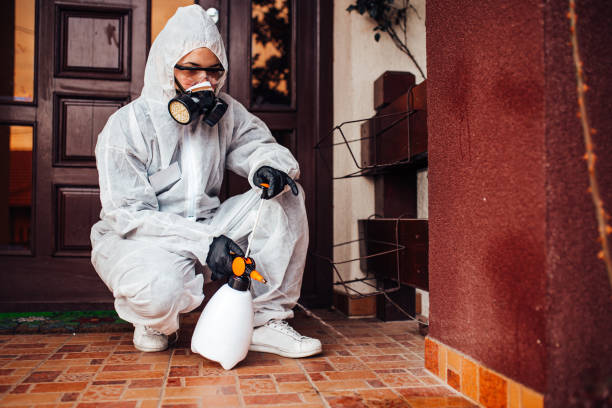 Reliable Emergency Pest Control contractor in South Lake Tahoe, CA by Nex Pest Control