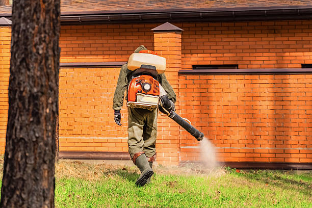 Trusted Bed Bug Control service in South Lake Tahoe, CA - Nex Pest Control